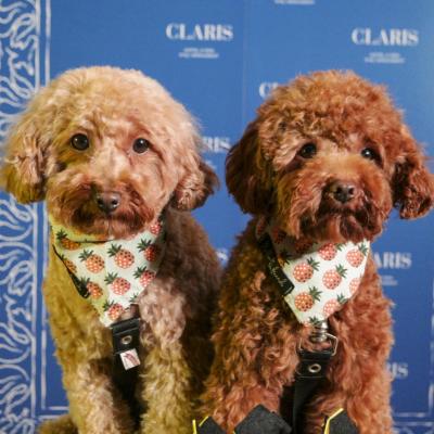 Bimba y Lola en el Hotel Claris